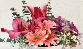 This is why Pastel Flowers are Perfect Any Day Gift