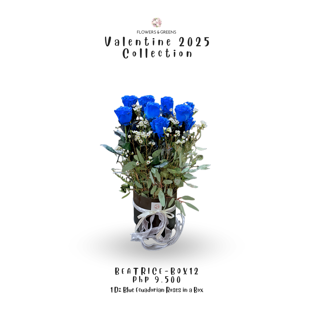 Beatrice – BOX 12