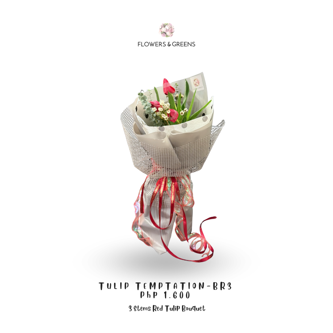 Tulip Temptation – BR 3