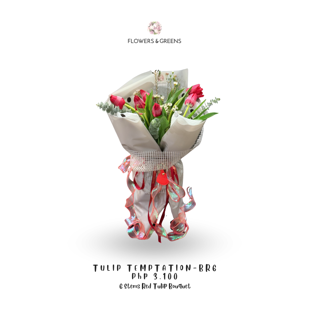 Tulip Temptation – BR 6