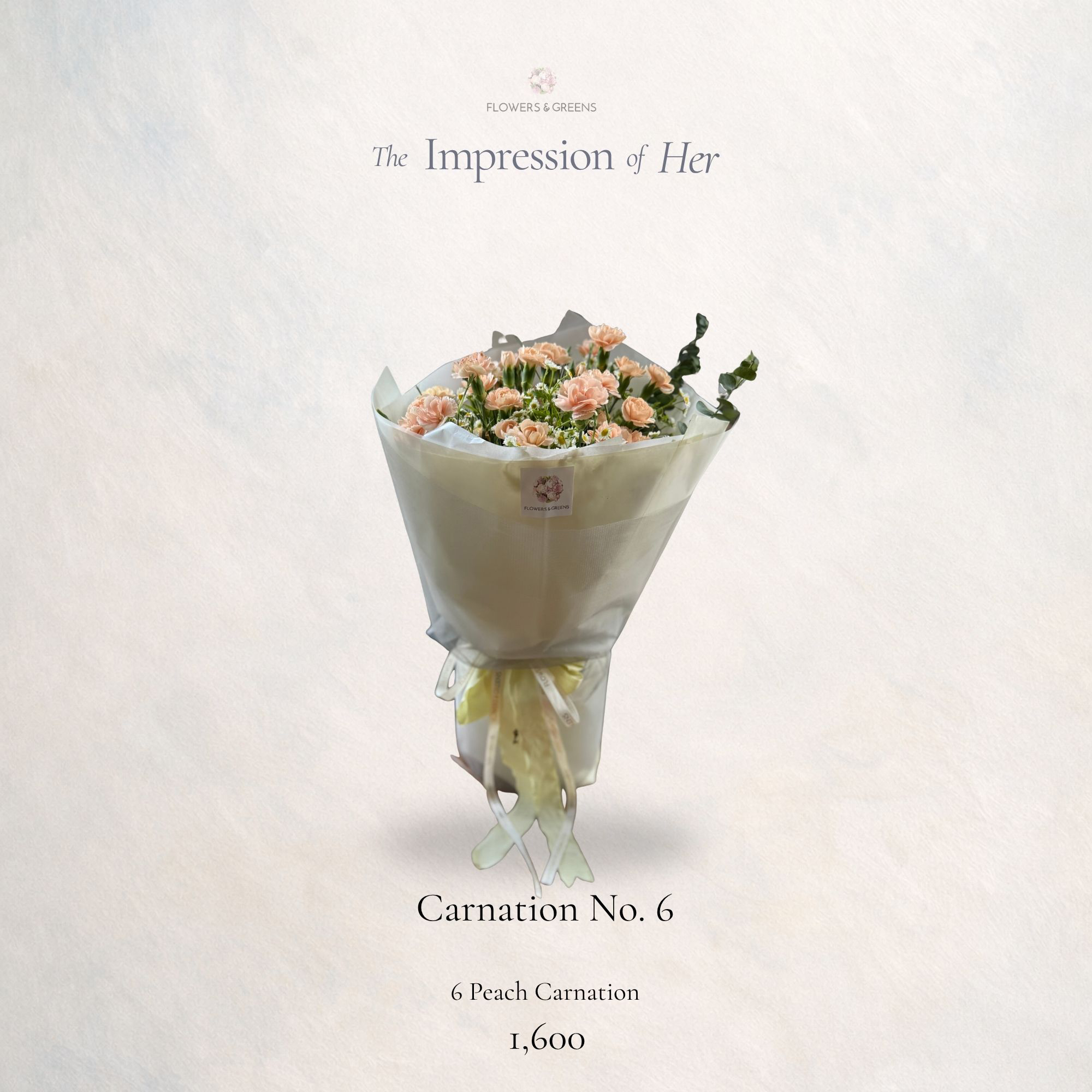 Carnation No. 6